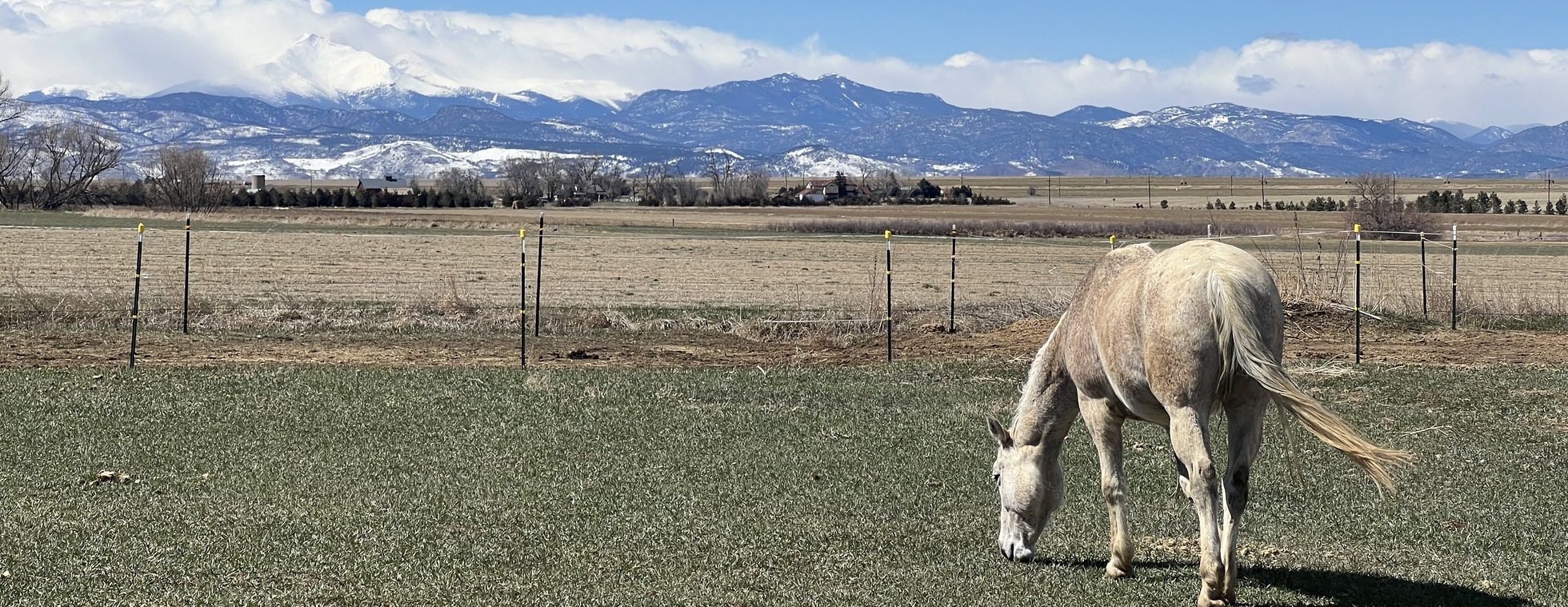 Meditation with Horses - July 19th